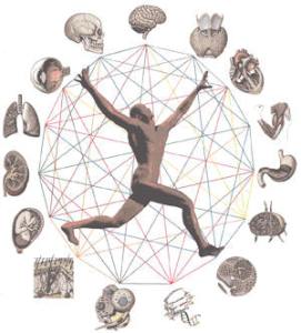 human