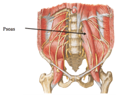 Screen_Shot_2015-09-25_at_2_09_23_PM