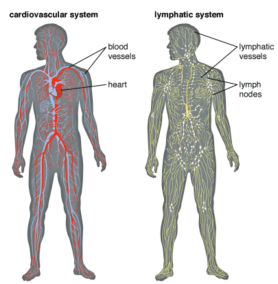 Screen Shot 2015-10-13 at 3.08.34 PM