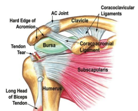 Screen Shot 2016-08-13 at 5.52.05 PM