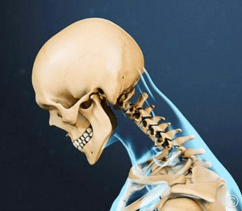 Screen Shot 2016-08-13 at 6.04.55 PM.png