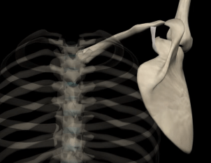 Screen Shot 2016-08-13 at 6.13.25 PM